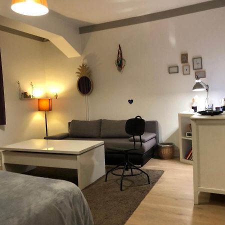 Chambre Independante Aux Pied Des Pyrenees Billere 외부 사진